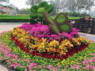 立体绿化的发展